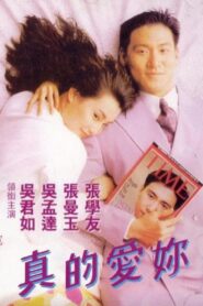 True Love 1992 on netflix