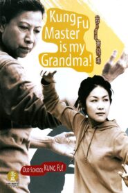 Kung Fu Master Is My Grandma! 2003 on netflix