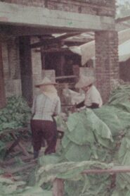Meinung, A Town Cherishing Tradition 1981 on netflix