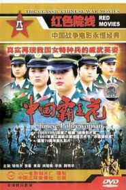 Chinese Policewoman 1990 on netflix