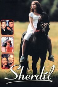 Sherdil 1999 on netflix