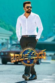Balakrishnudu 2017 on netflix