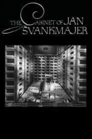 The Cabinet of Jan Švankmajer 1984 on netflix