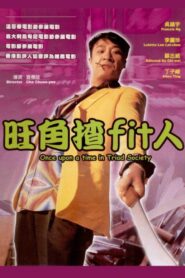 Once Upon a Time in Triad Society 1996 on netflix
