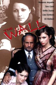 The Wall 1982 on netflix