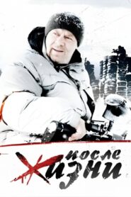 After Life 2008 on netflix