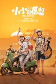 The Last Wish 2019 on netflix