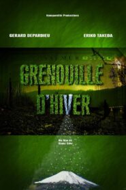 A Frog in Winter 2011 on netflix