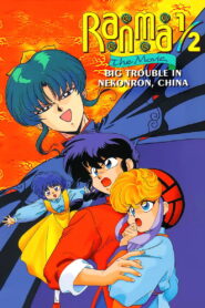 Ranma 1/2 the Movie: Big Trouble in Nekonron, China 1991 on netflix