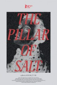 The Pillar of Salt 2018 on netflix