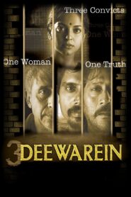 3 Deewarein 2003 on netflix