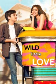 Wild Little Love 2019 on netflix