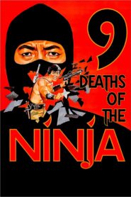 9 Deaths of the Ninja 1985 on netflix