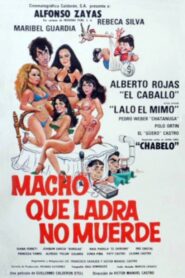 Macho que ladra no muerde 1984 on netflix