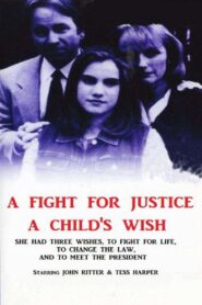 A Child’s Wish 1997 on netflix