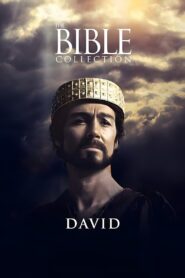 David 1997 on netflix