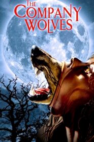 The Company of Wolves 1984 on netflix