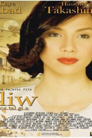 Iliw 2008 on netflix