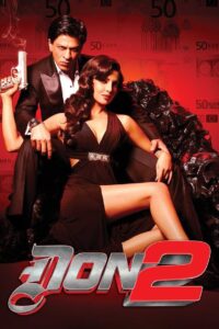 Don 2 2011 on netflix