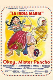 Okey, Mister Pancho 1981 on netflix