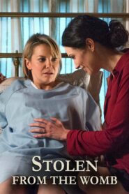 Stolen from the Womb 2014 on netflix