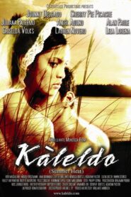 Kàleldo 2006 on netflix