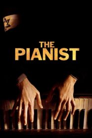 The Pianist 2002 on netflix