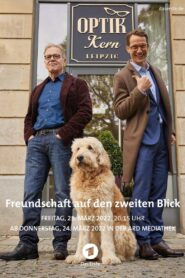 Freundschaft auf den zweiten Blick 2022 on netflix