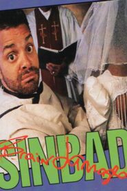 Sinbad: Brain Damaged 1991 on netflix