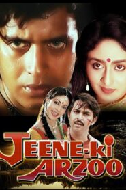 Jeene ki arzoo 1981 on netflix