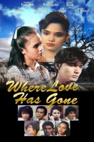 Where Love Has Gone 1984 on netflix