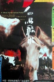 Feifei 1996 on netflix