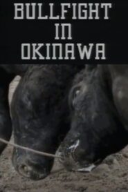 Bullfight in Okinawa 1994 on netflix