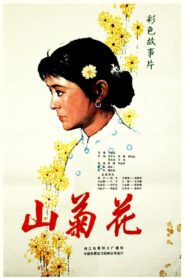 Wild Chrysanthemum 1982 on netflix