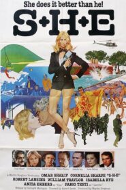 S+H+E: Security Hazards Expert 1980 on netflix