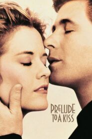 Prelude to a Kiss 1992 on netflix