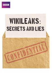 Wikileaks: Secrets and Lies 2012 on netflix