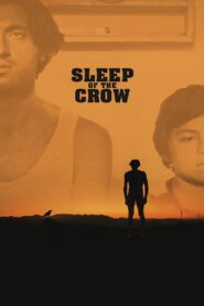 Sleep of the Crow 2024 on netflix