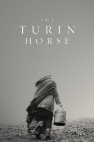 The Turin Horse 2011 on netflix