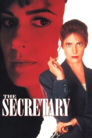 The Secretary 1995 on netflix