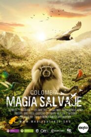 Colombia: Wild Magic 2015 on netflix