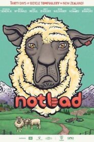 Not Bad 2013 on netflix