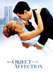 The Object of My Affection 1998 on netflix