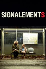 Reports 2024 on netflix