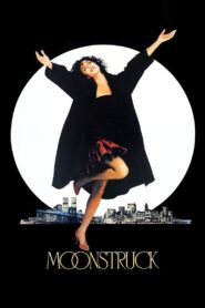 Moonstruck 1987 on netflix