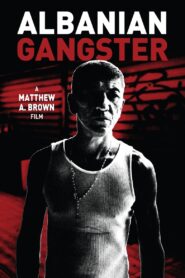 Albanian Gangster 2018 on netflix