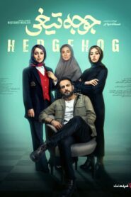 Hedgehog 2023 on netflix