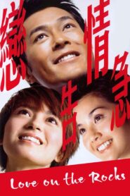 Love on the Rocks 2004 on netflix