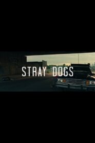 Stray Dogs 2015 on netflix