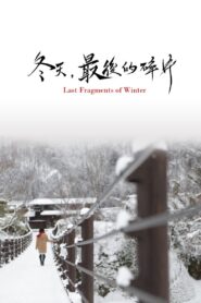 Last Fragments of Winter 2011 on netflix